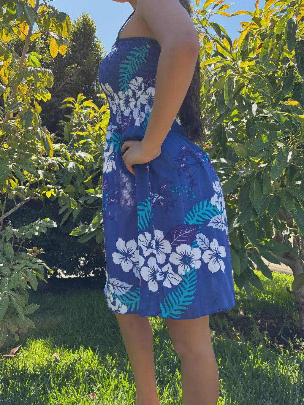 Aulani Sun Dress - Blue