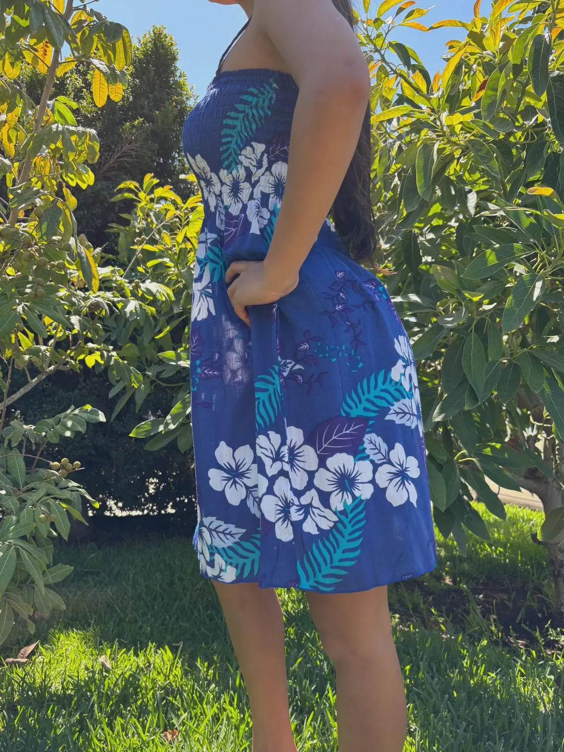 Aulani Sun Dress - Blue