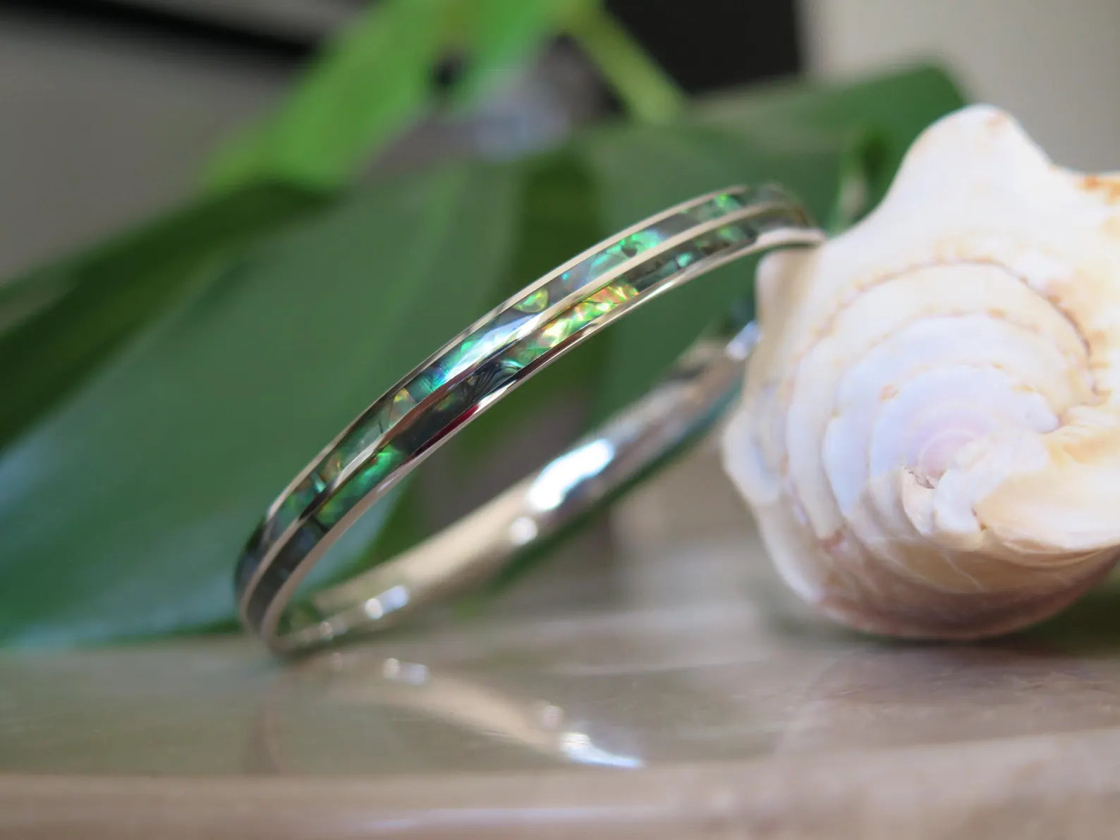 Abalone Shell Double Stainless Steel Bangle