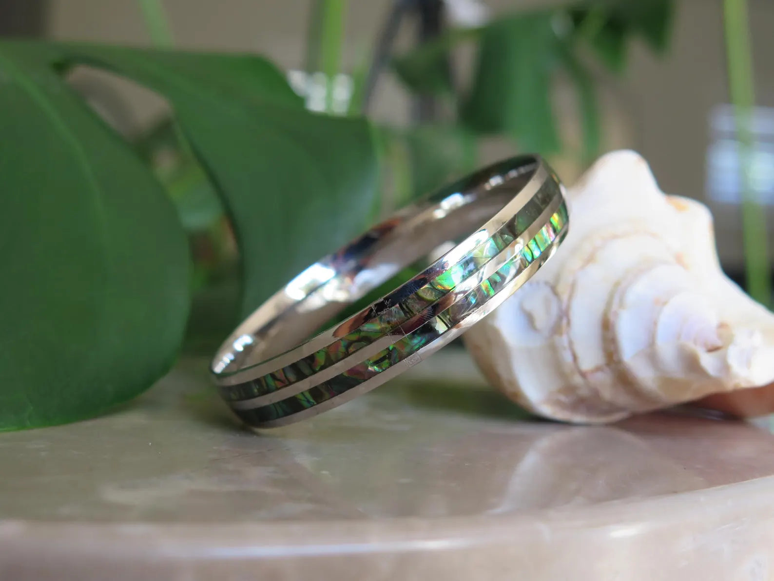 Abalone Shell Double Stainless Steel Bangle