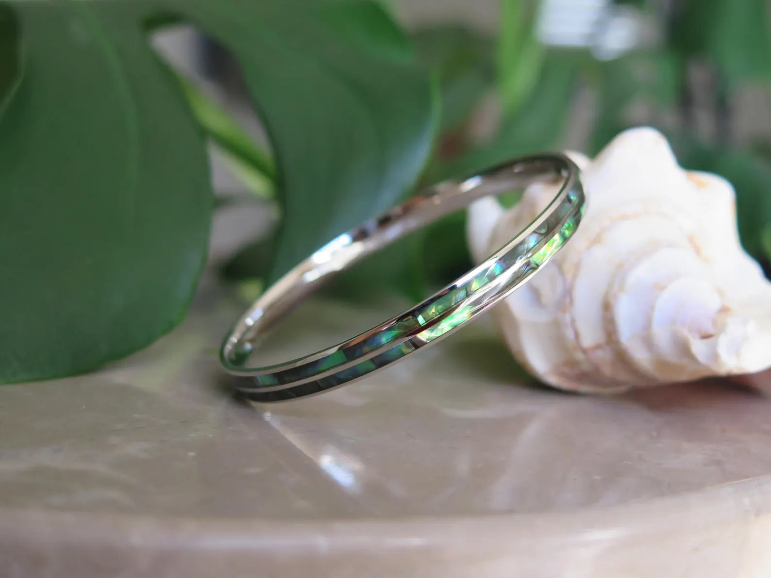 Abalone Shell Double Stainless Steel Bangle