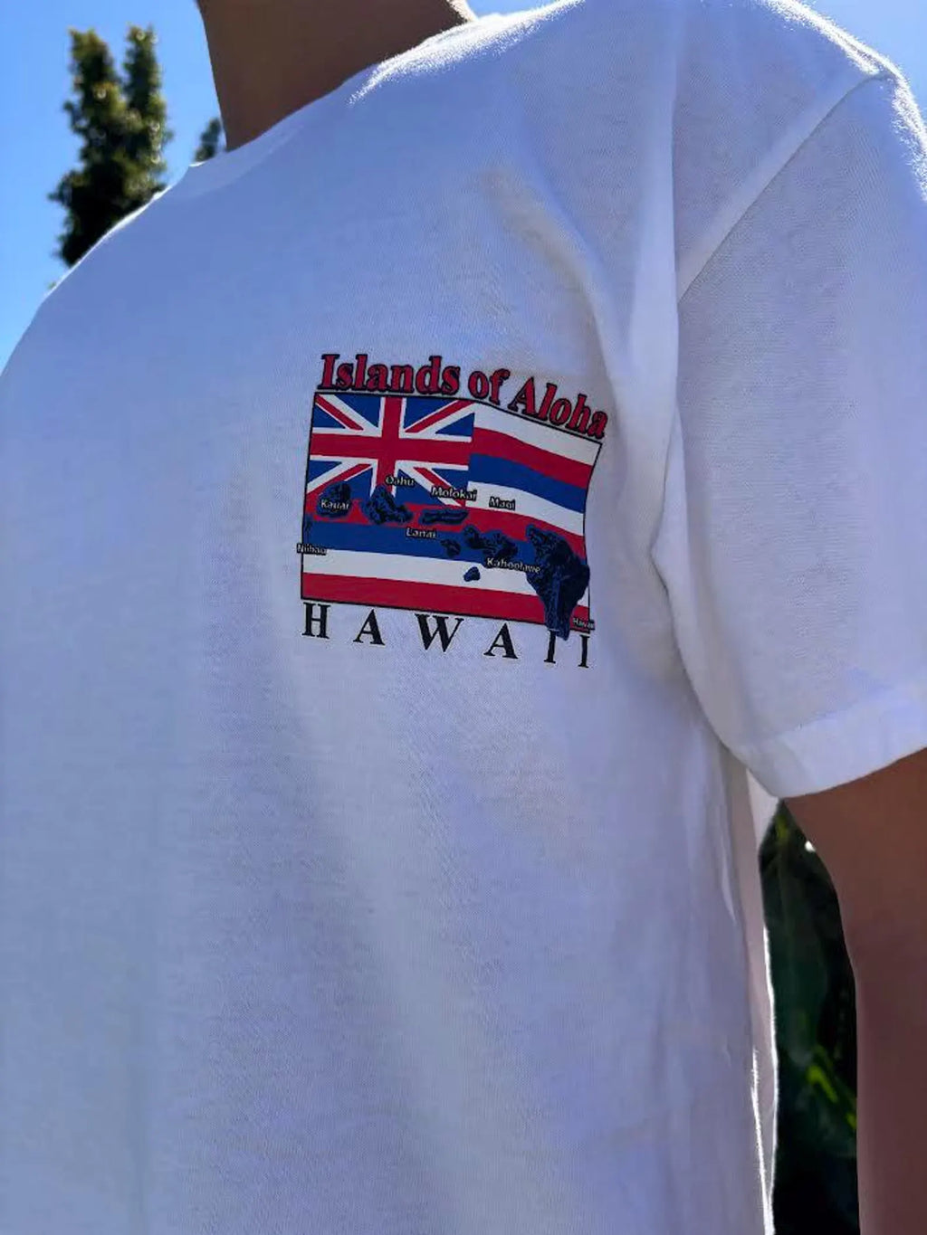 Islands of Aloha Flag Graphic Tee - Black & White