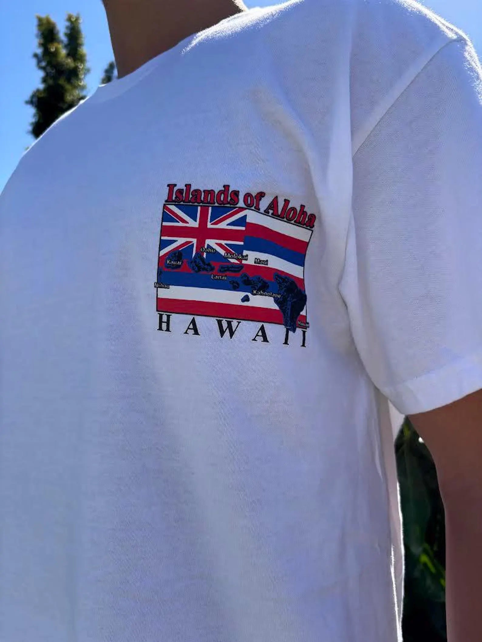 Islands of Aloha Flag Graphic Tee - Black & White