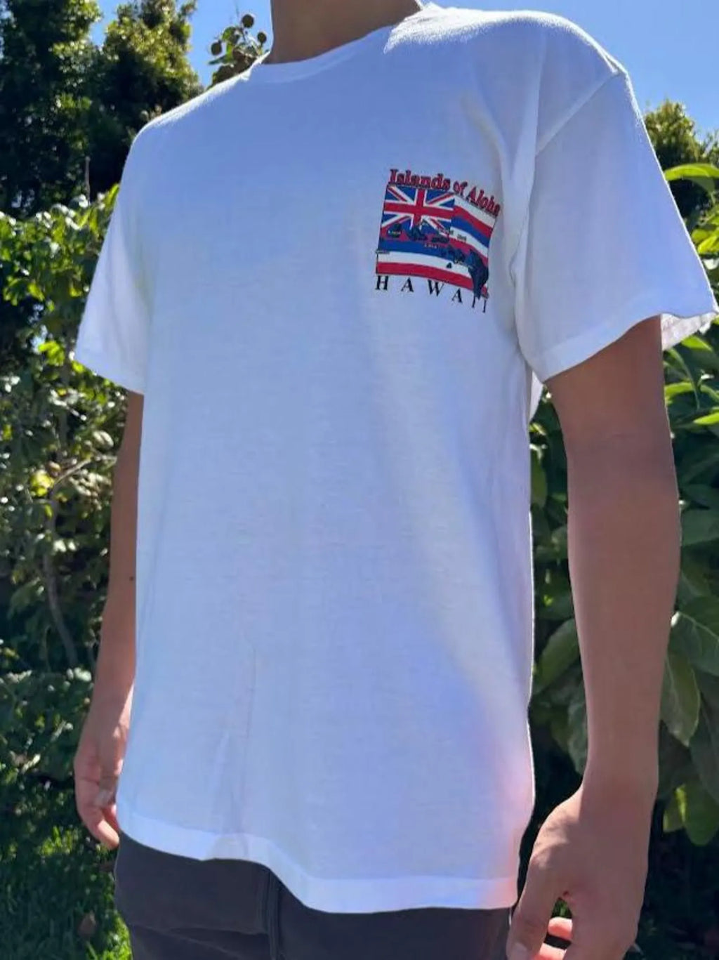 Islands of Aloha Flag Graphic Tee - Black & White