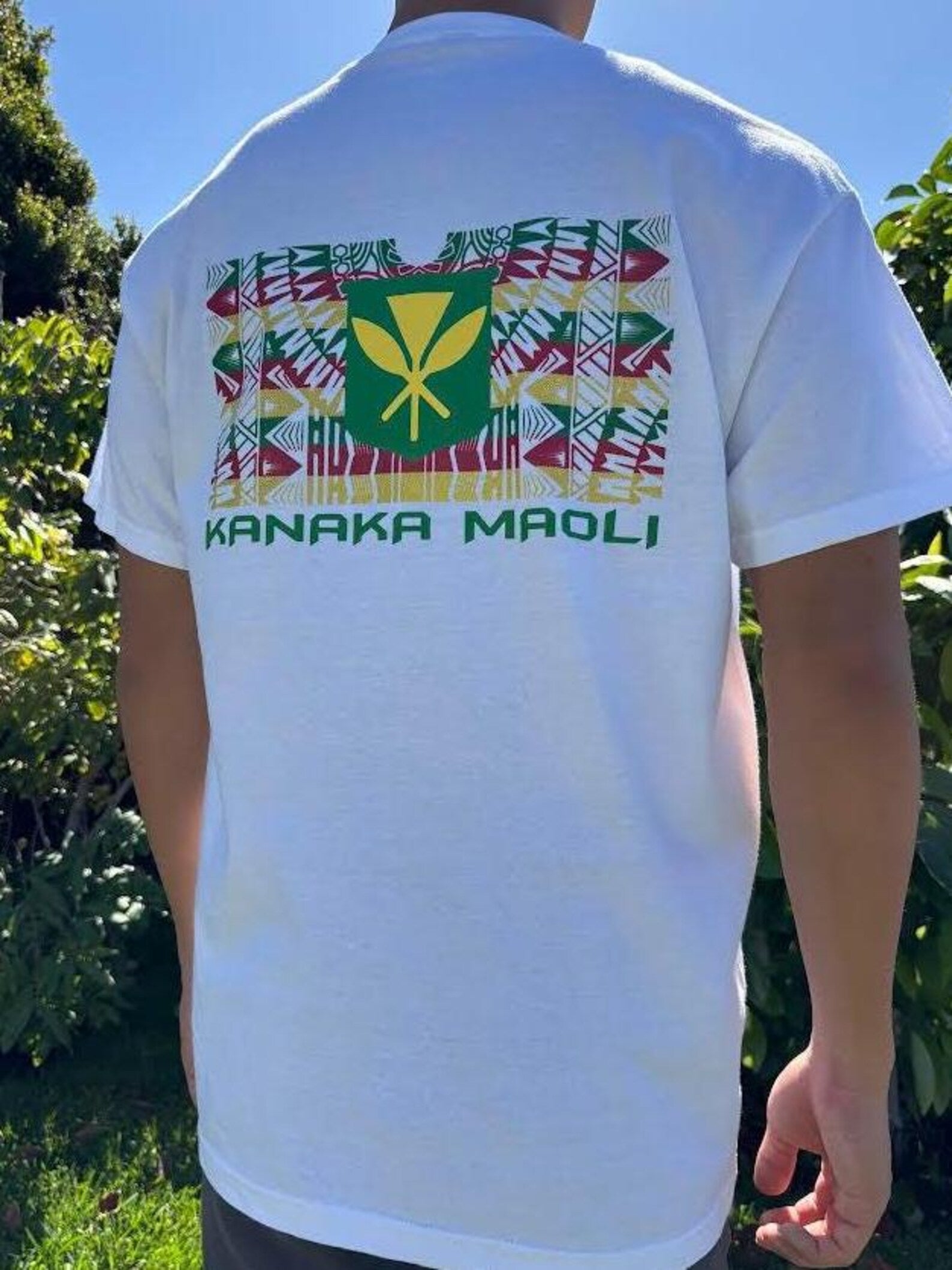 Kanaka Maoli Rasta Flag Graphic Tee - Black & White
