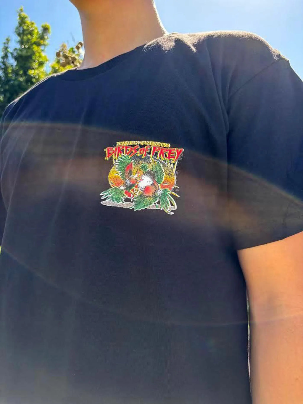 Birds of Prey Graphic Tee - Black & White