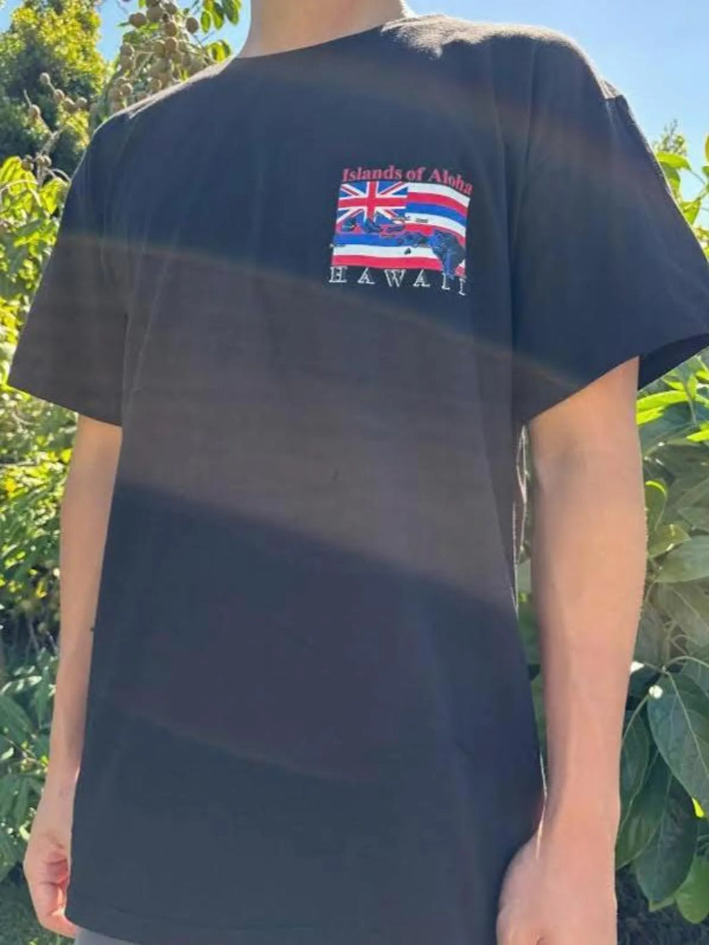 Islands of Aloha Flag Graphic Tee - Black & White