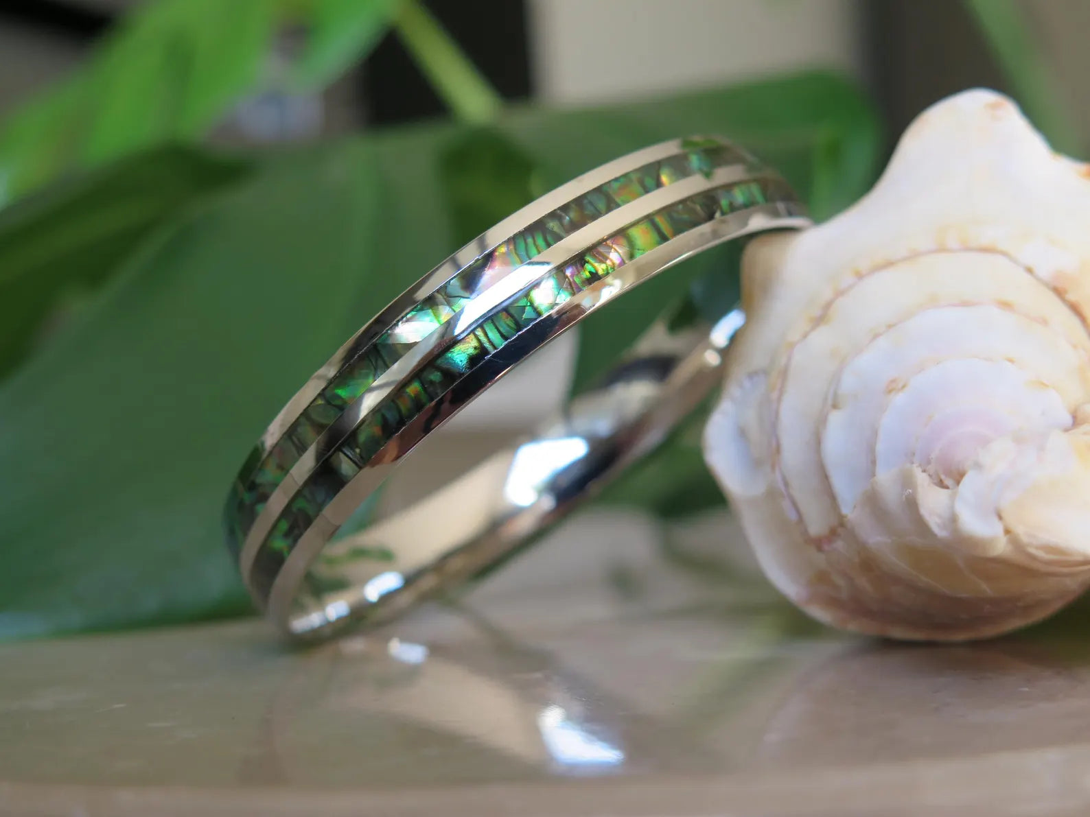 Abalone Shell Double Stainless Steel Bangle
