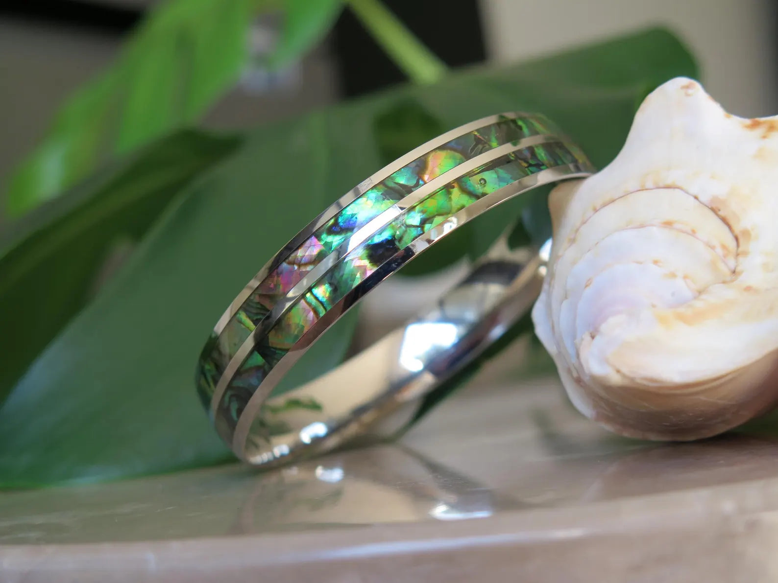 Abalone Shell Double Stainless Steel Bangle