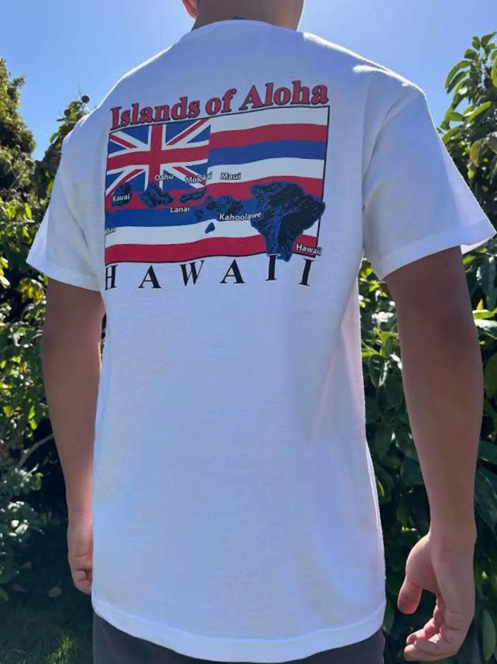 Islands of Aloha Flag Graphic Tee - Black & White
