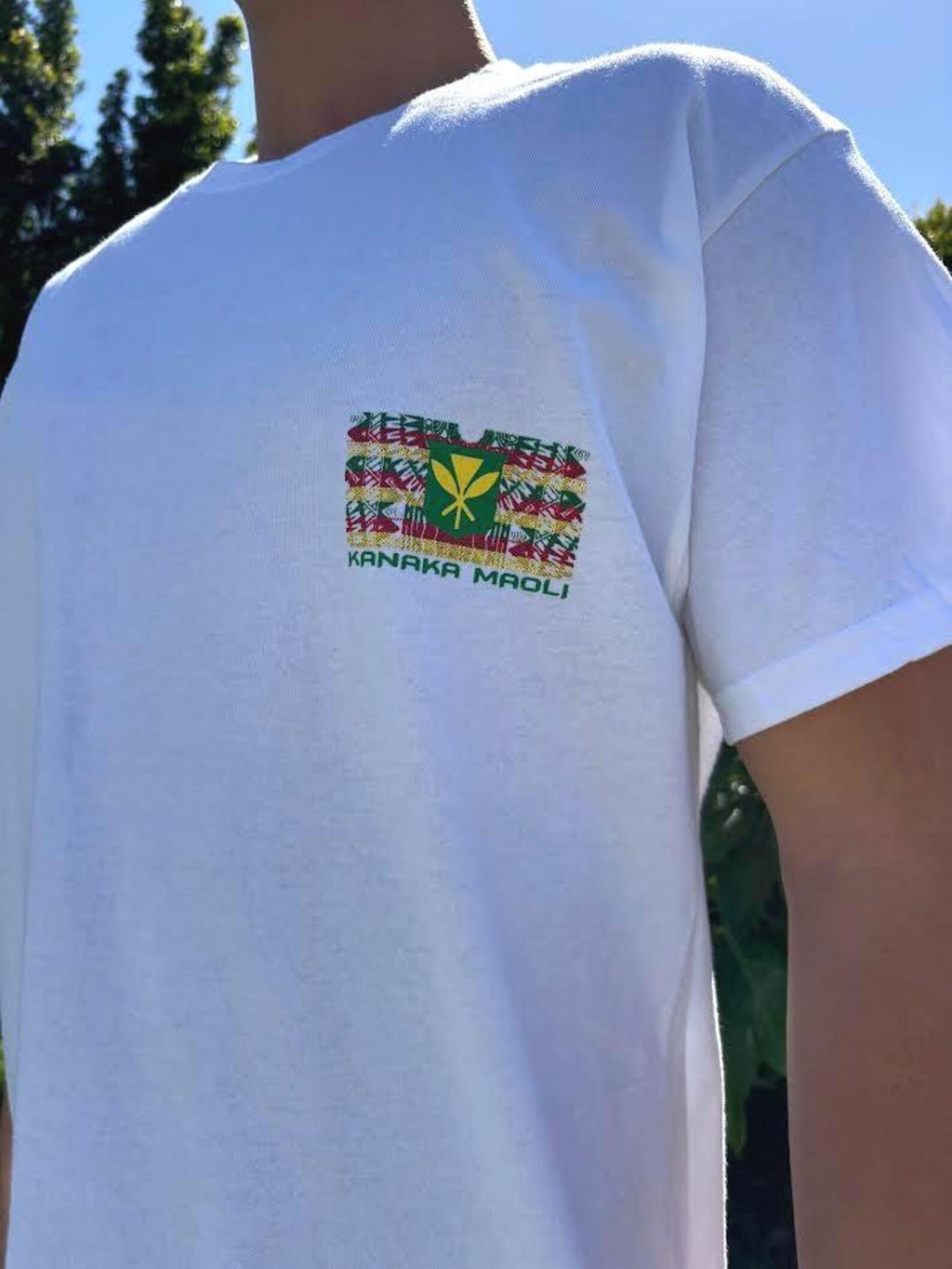 Kanaka Maoli Rasta Flag Graphic Tee - Black & White