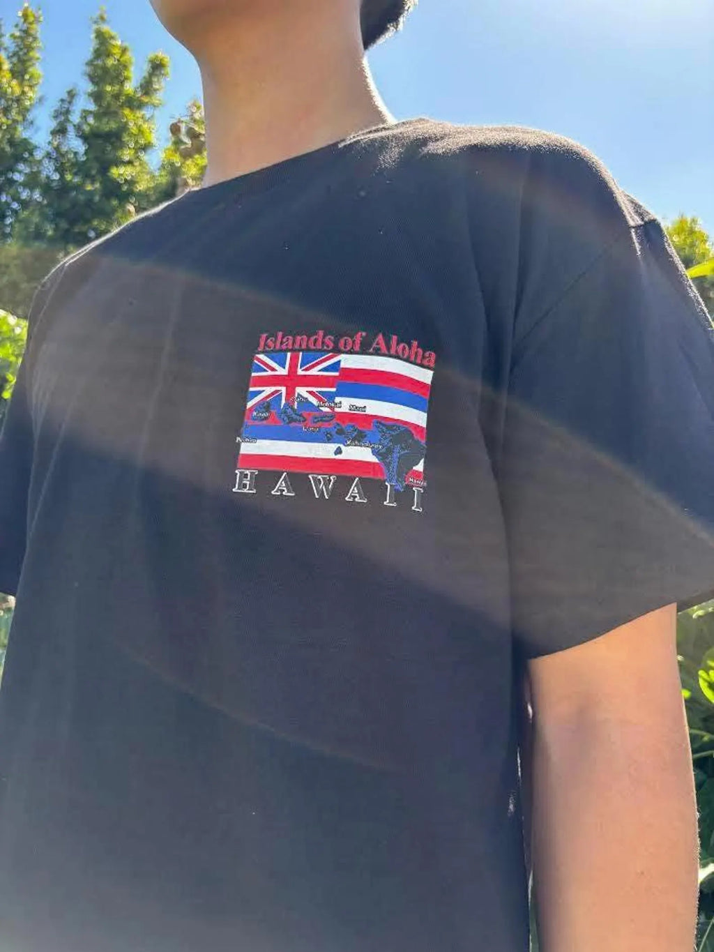 Islands of Aloha Flag Graphic Tee - Black & White