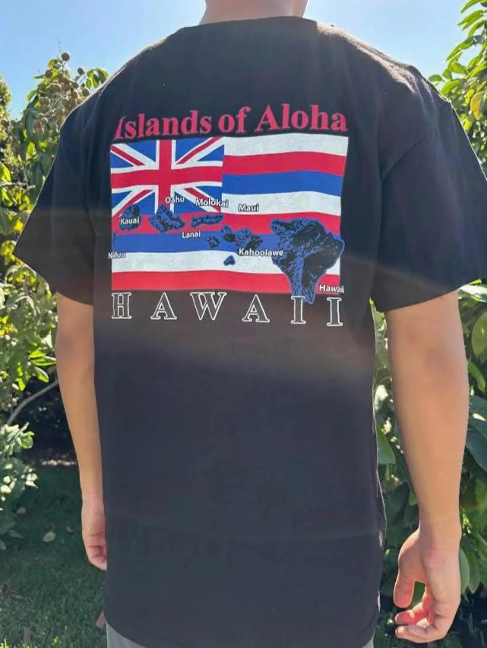 Islands of Aloha Flag Graphic Tee - Black & White