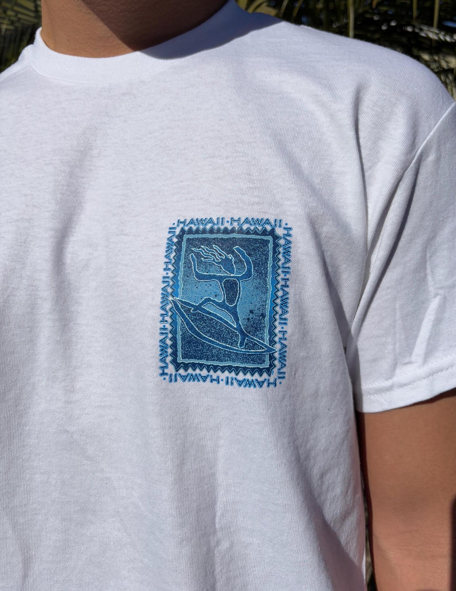 Petroglyph Surfer Graphic Tee - White